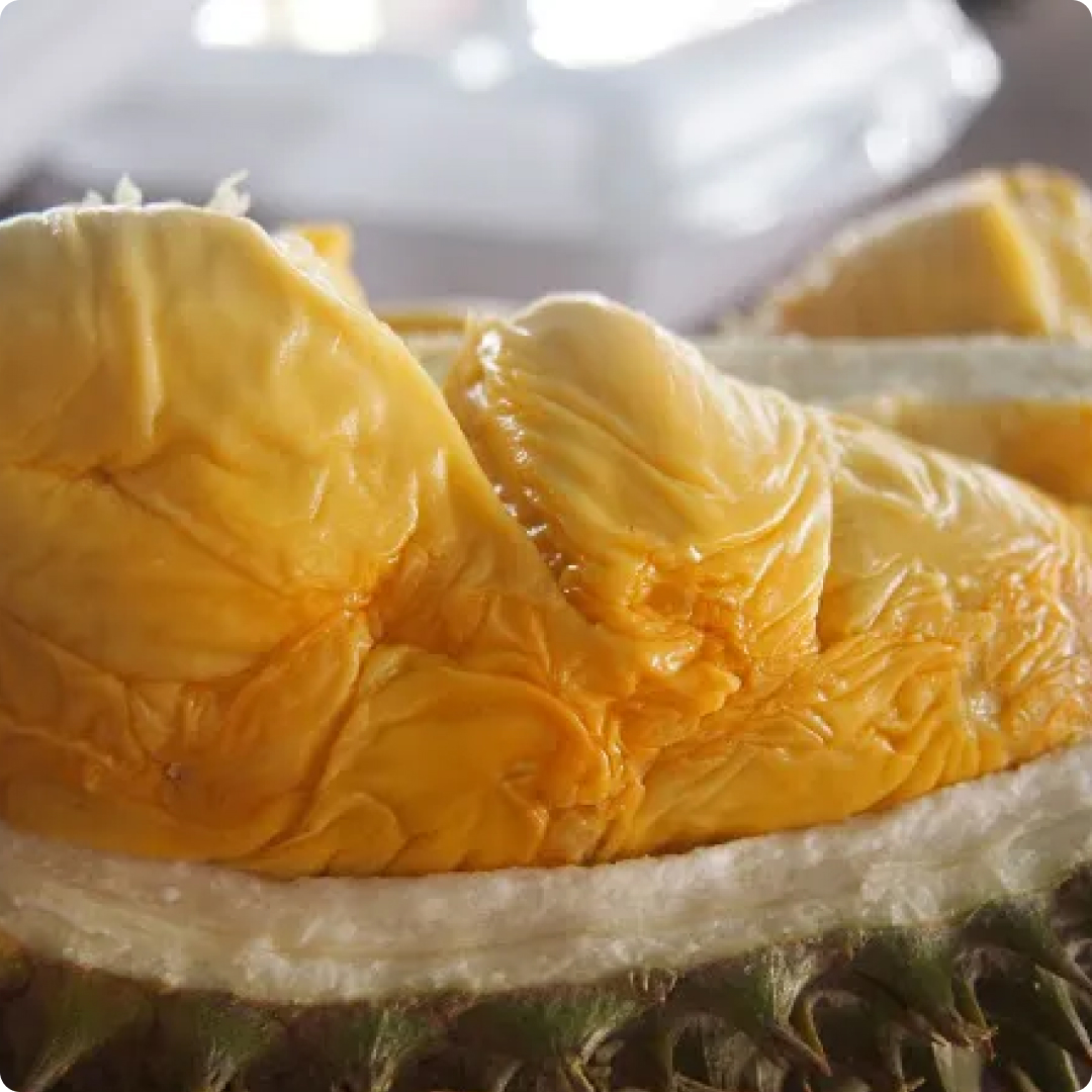 durian